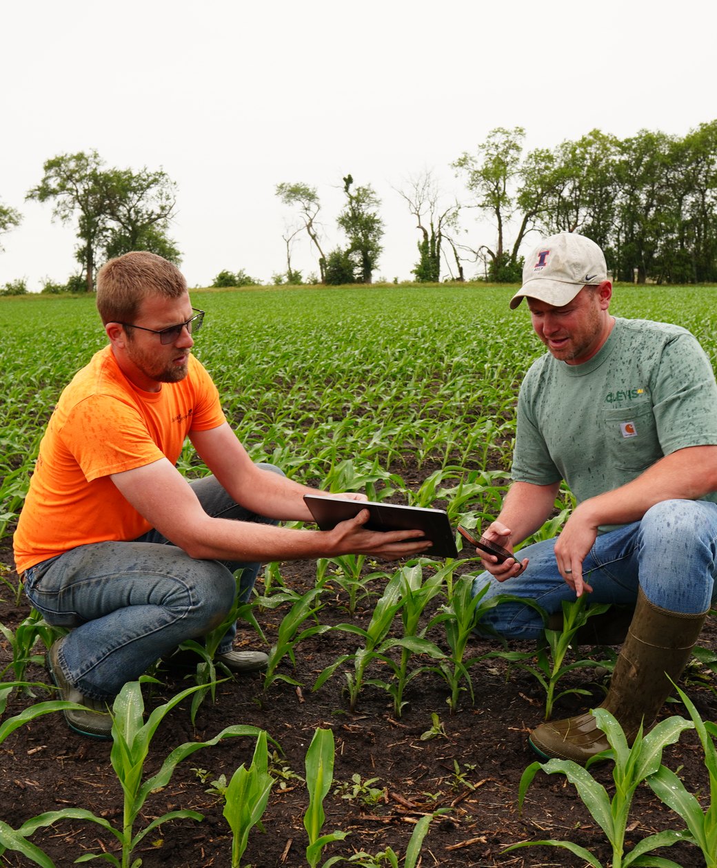 Will AI Replace Your Crop Consultant? An Honest Take — article photo