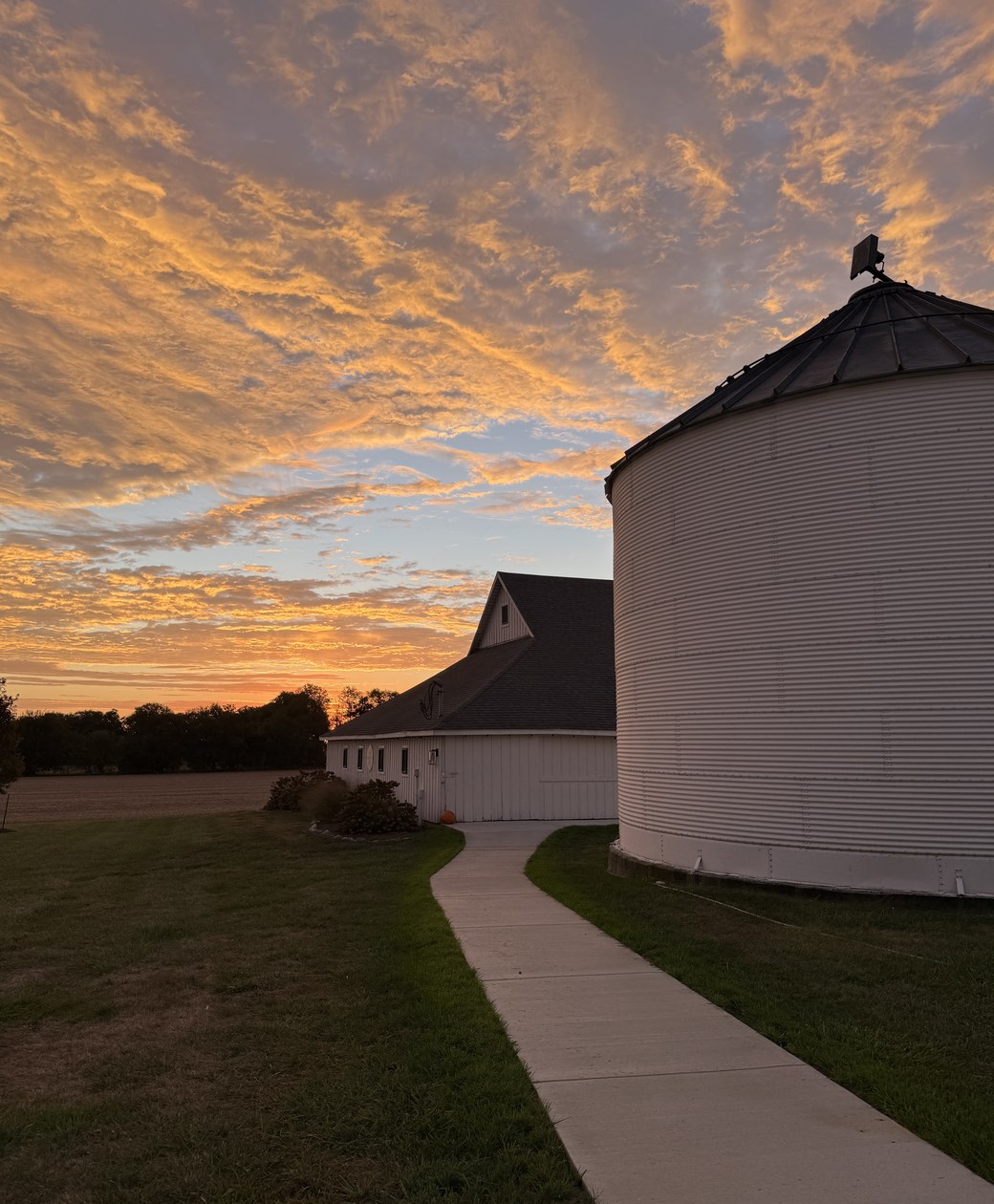 Farm Marketing AI: How an AI Advisor Changes the Grain-Marketing Workflow — article photo